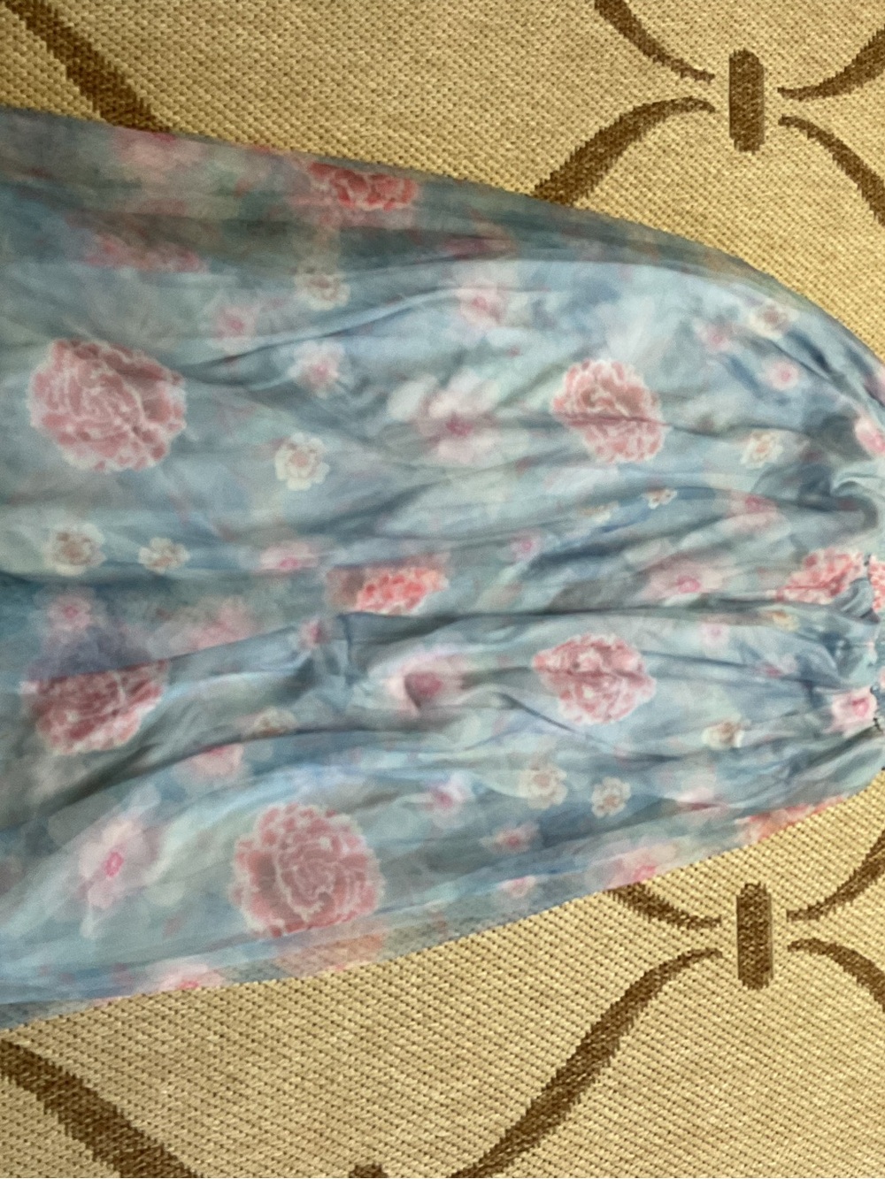 Baltic born Powder Blue Floral Tulle Dress with Pink Roses - Picture 7 of 7